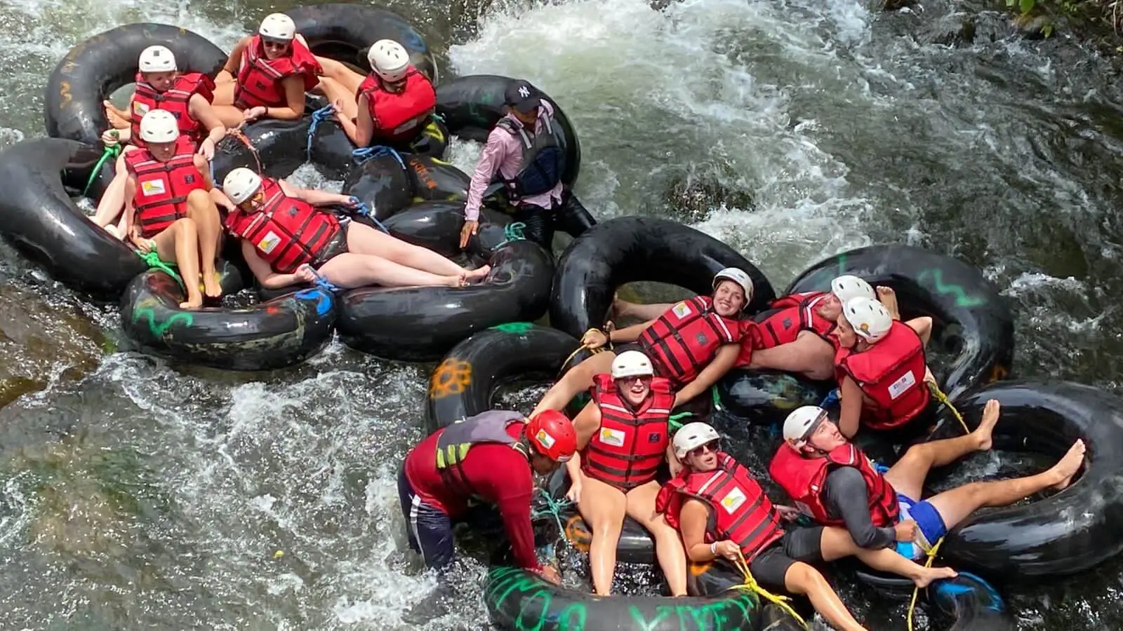 MINDO - Selva tropical con mariposas y cascadas